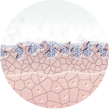 reviderm- Enzyme spalten die abgestorbenen Hautzellen und bereiten so die Haut auf die Mikrodermabrasion vor.